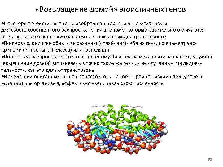  «Возвращение домой» эгоистичных генов • Некоторые эгоистичные гены изобрели альтернативные механизмы для своего