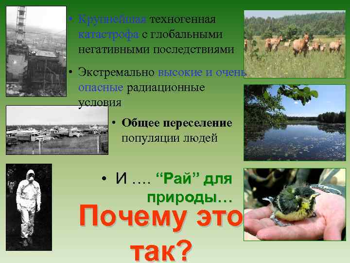  • Крупнейшая техногенная катастрофа с глобальными негативными последствиями • Экстремально высокие и очень