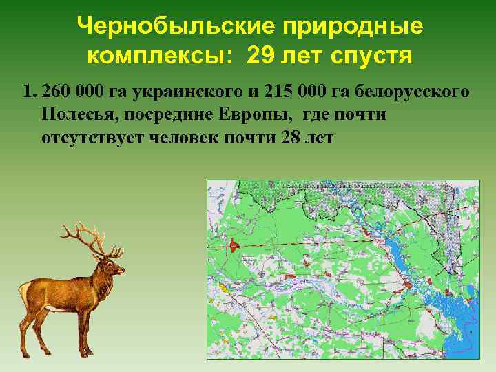 Чернобыльские природные комплексы: 29 лет спустя 1. 260 000 га украинского и 215 000