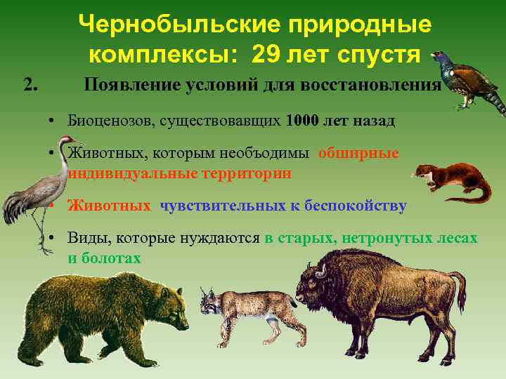 Чернобыльские природные комплексы: 29 лет спустя 2. Появление условий для восстановления • Биоценозов, существовавщих