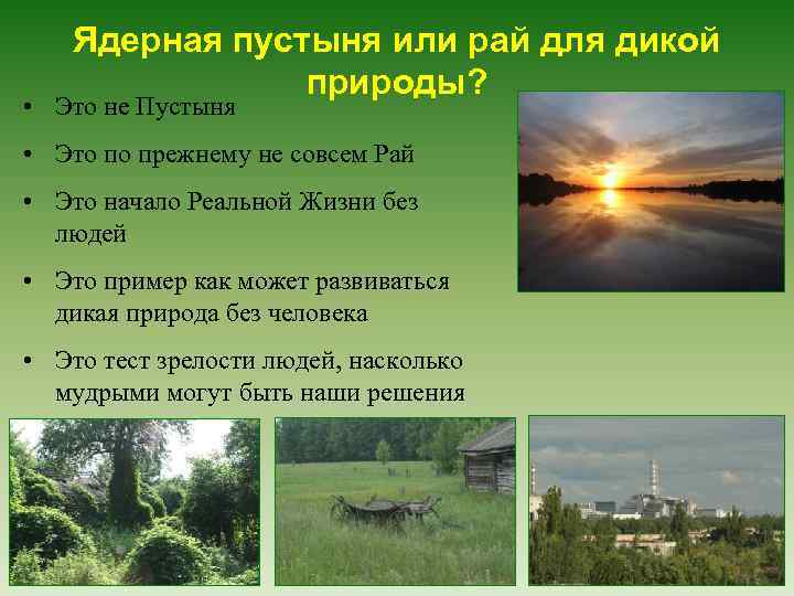 Ядерная пустыня или рай для дикой природы? • Это не Пустыня • Это по