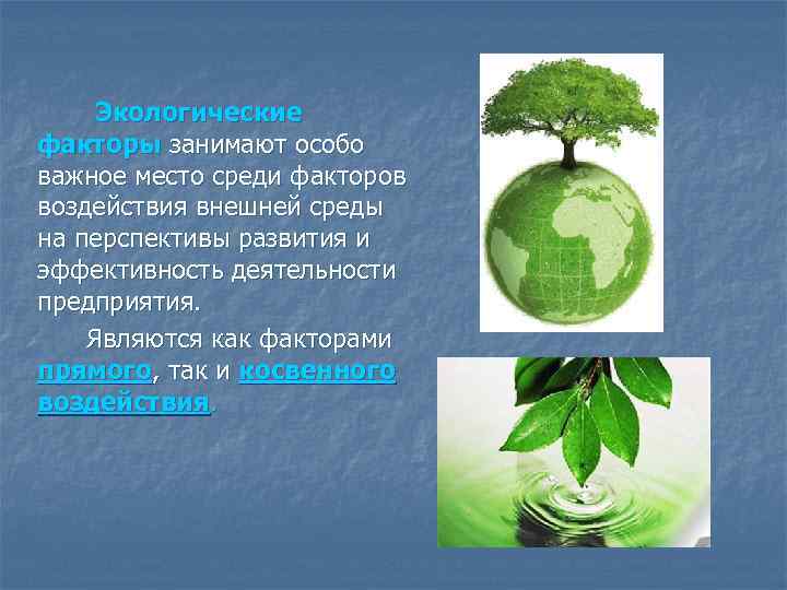 Экологические факторы занимают особо важное место среди факторов воздействия внешней среды на перспективы развития