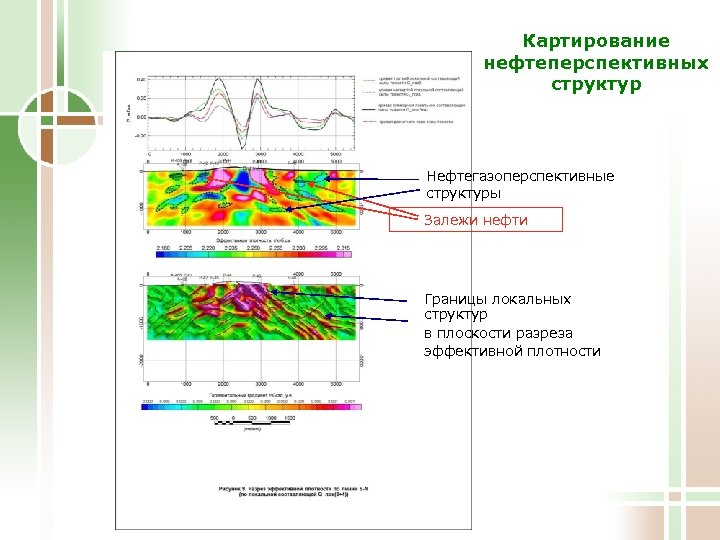 Картирование нефтеперспективных структур Нефтегазоперспективные структуры Залежи нефти Границы локальных структур в плоскости разреза эффективной