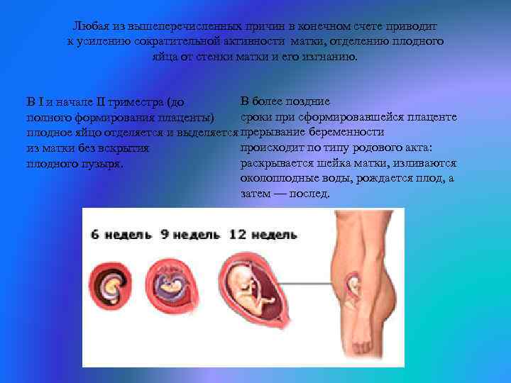 Любая из вышеперечисленных причин в конечном счете приводит к усилению сократительной активности матки, отделению