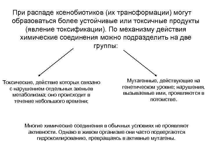 При распаде ксенобиотиков (их трансформации) могут образоваться более устойчивые или токсичные продукты (явление токсификации).