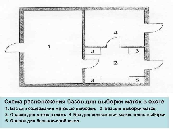 Схема расположения базов для выборки маток в охоте 1. Баз для содержания маток до