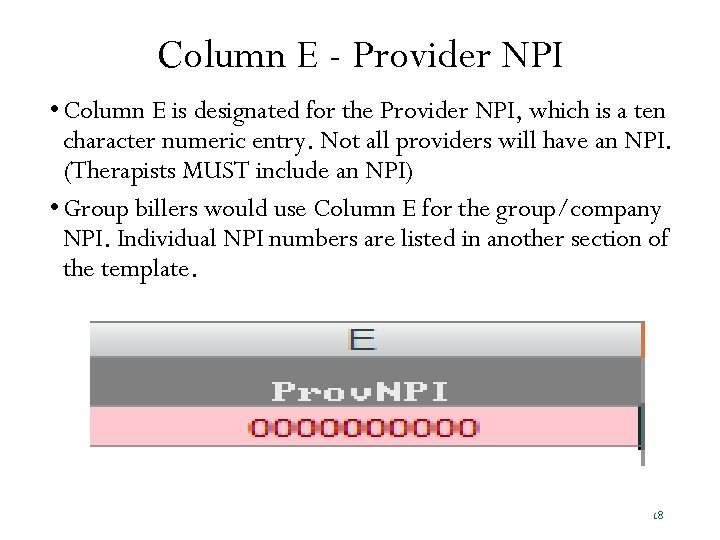 Column E - Provider NPI • Column E is designated for the Provider NPI,
