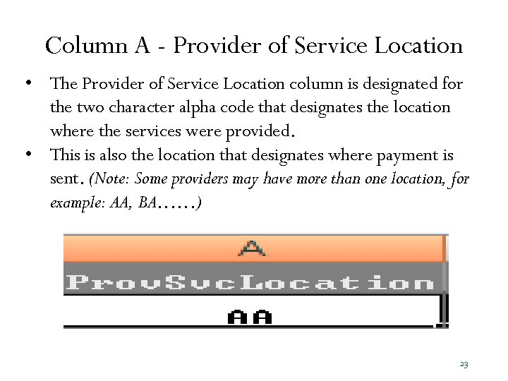 Column A - Provider of Service Location • The Provider of Service Location column