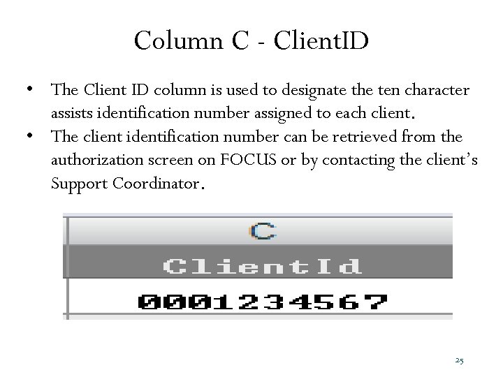 Column C - Client. ID • The Client ID column is used to designate