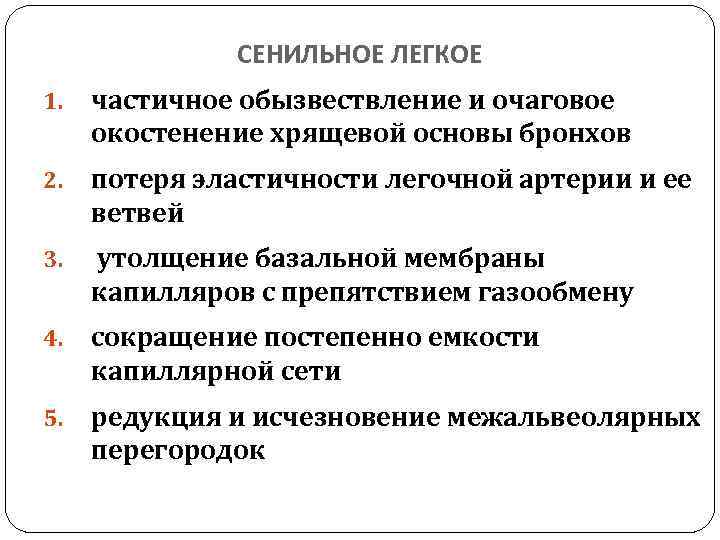СЕНИЛЬНОЕ ЛЕГКОЕ 1. частичное обызвествление и очаговое окостенение хрящевой основы бронхов 2. потеря эластичности