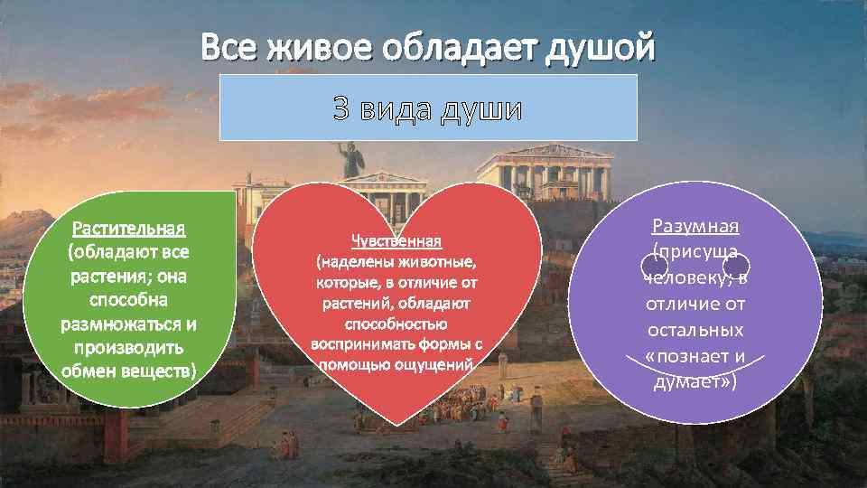 Все живое обладает душой 3 вида души Растительная (обладают все растения; она способна размножаться