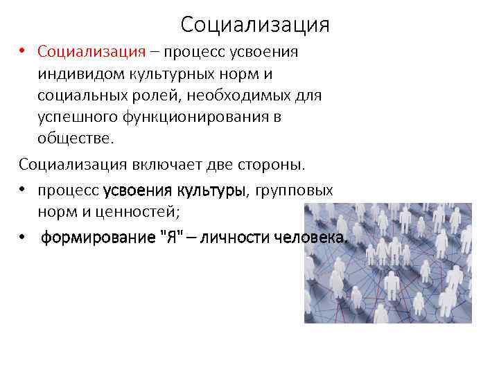 Социализация • Социализация – процесс усвоения индивидом культурных норм и социальных ролей, необходимых для