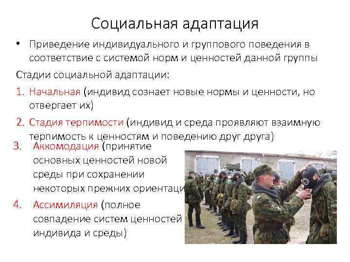 Социальная адаптация • Приведение индивидуального и группового поведения в соответствие с системой норм и