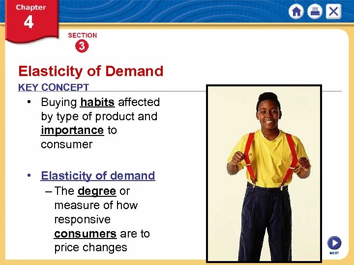 Elasticity of Demand KEY CONCEPT • Buying habits affected by type of product and