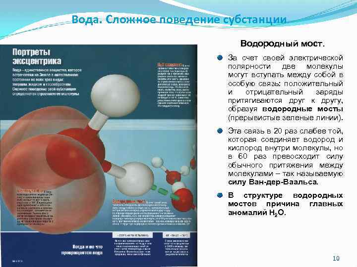 Вода. Сложное поведение субстанции Водородный мост. За счет своей электрической полярности две молекулы могут