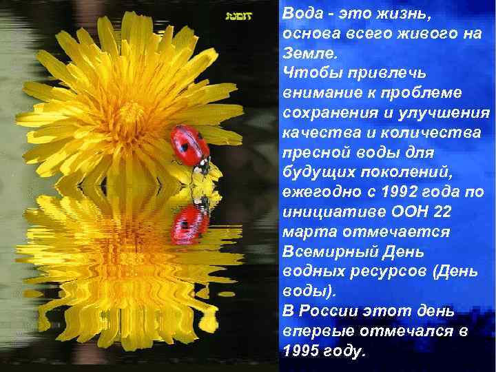 Вода - это жизнь, основа всего живого на Земле. Чтобы привлечь внимание к проблеме