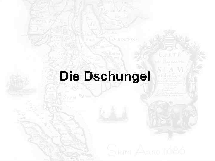 Die Dschungel 