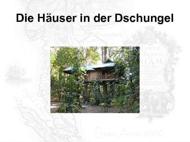 Die Häuser in der Dschungel 