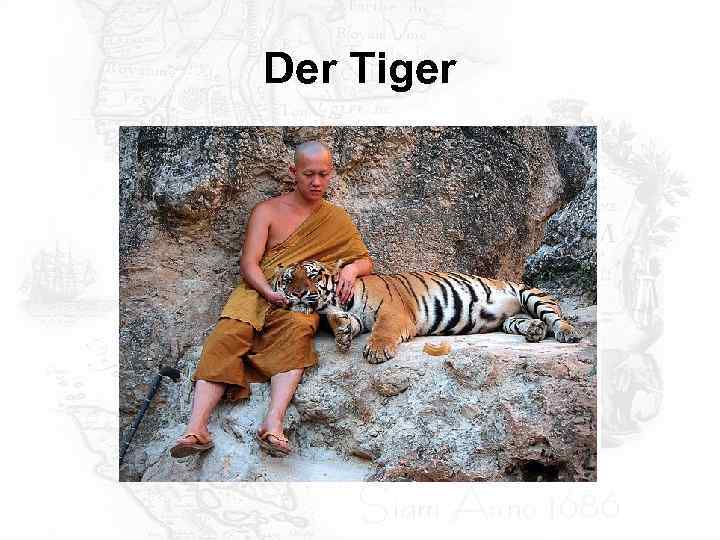 Der Tiger 