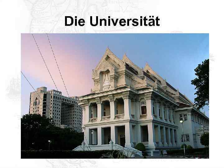 Die Universität 
