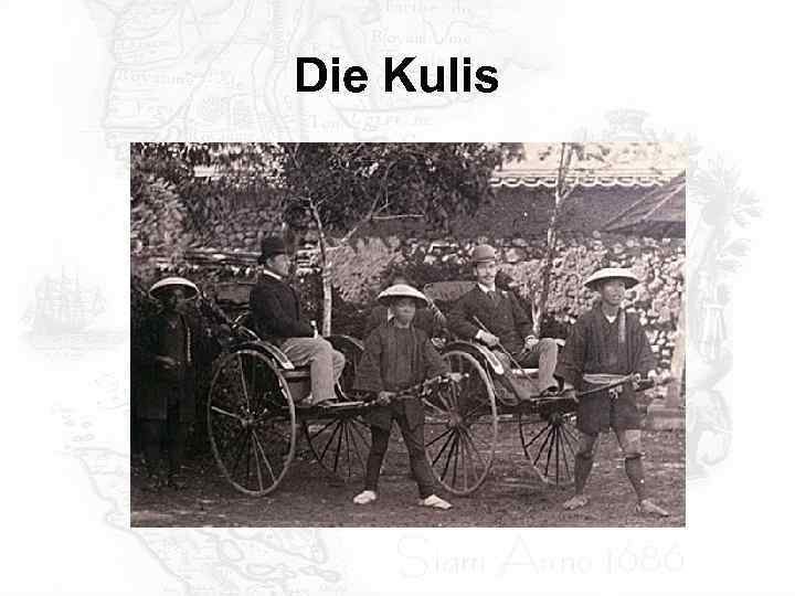 Die Kulis 