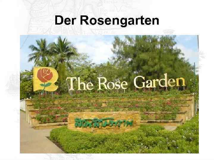 Der Rosengarten 