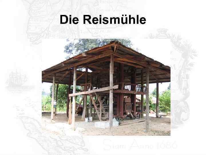 Die Reismühle 