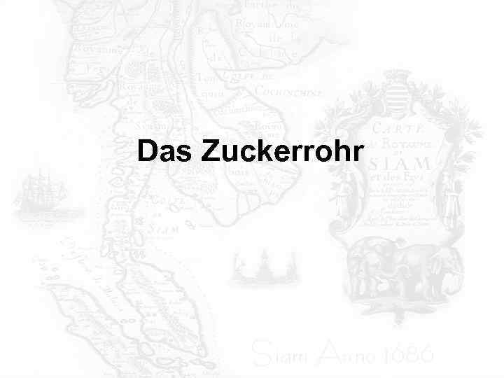 Das Zuckerrohr 