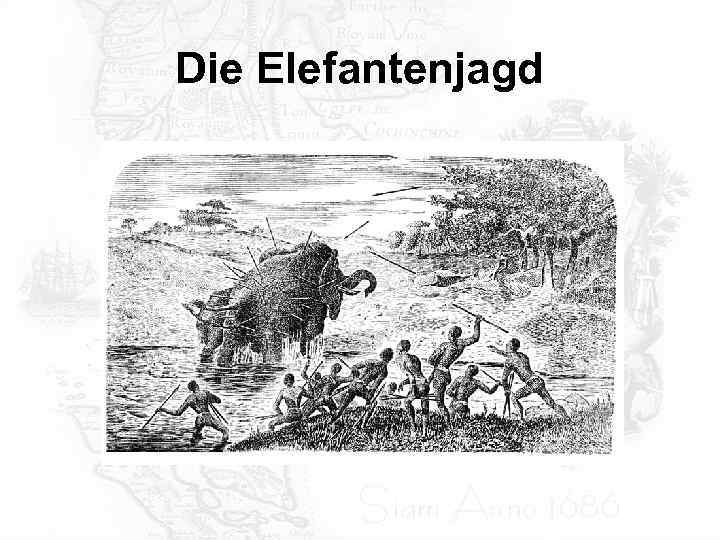 Die Elefantenjagd 
