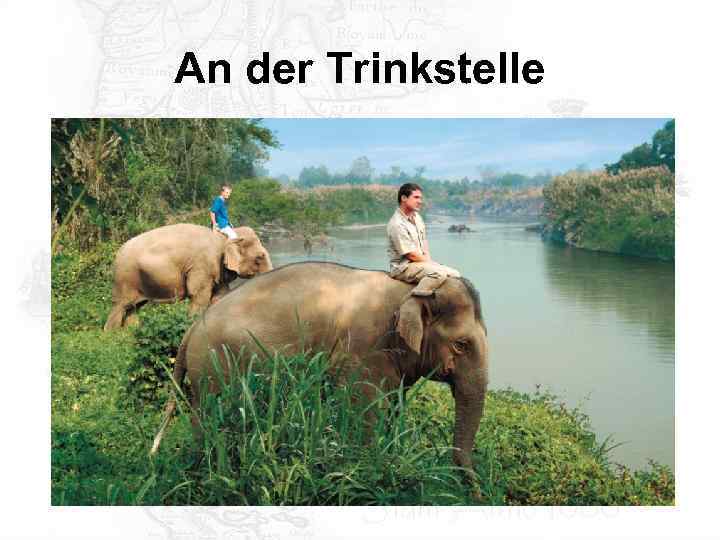 An der Trinkstelle 