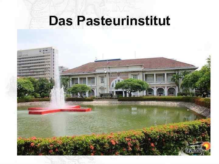 Das Pasteurinstitut 
