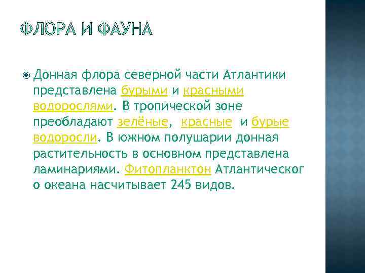  Донная флора северной части Атлантики представлена бурыми и красными водорослями. В тропической зоне