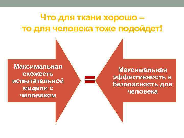 Что для ткани хорошо – то для человека тоже подойдет! Максимальная схожесть испытательной модели