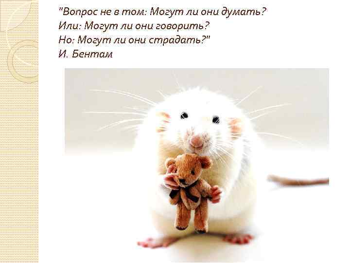 "Вопрос не в том: Могут ли они думать? Или: Могут ли они говорить? Но: