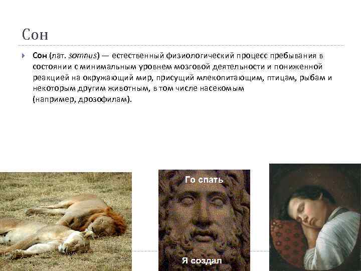 Сон (лат. somnus) — естественный физиологический процесс пребывания в состоянии с минимальным уровнем мозговой