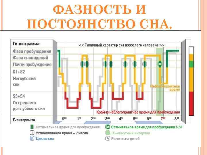 ФАЗНОСТЬ И ПОСТОЯНСТВО СНА. 