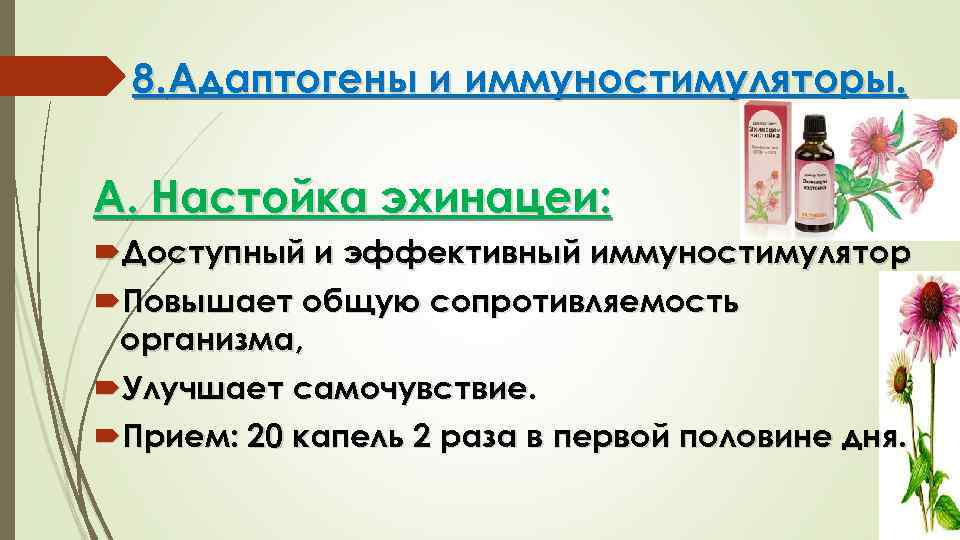 8. Адаптогены и иммуностимуляторы. А. Настойка эхинацеи: Доступный и эффективный иммуностимулятор Повышает общую сопротивляемость