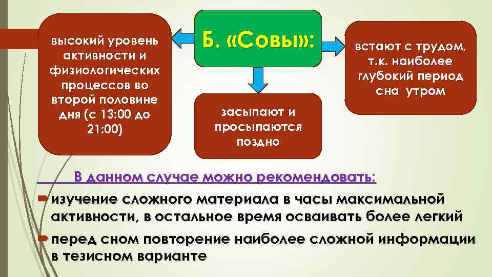 высокий уровень активности и физиологических процессов во второй половине дня (с 13: 00 до