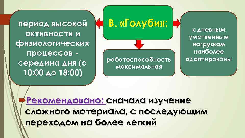 период высокой активности и физиологических процессов середина дня (с 10: 00 до 18: 00)
