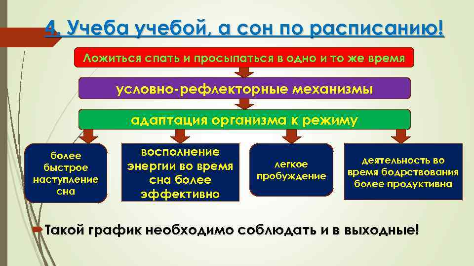 4. Учеба учебой, а сон по расписанию! Ложиться спать и просыпаться в одно и