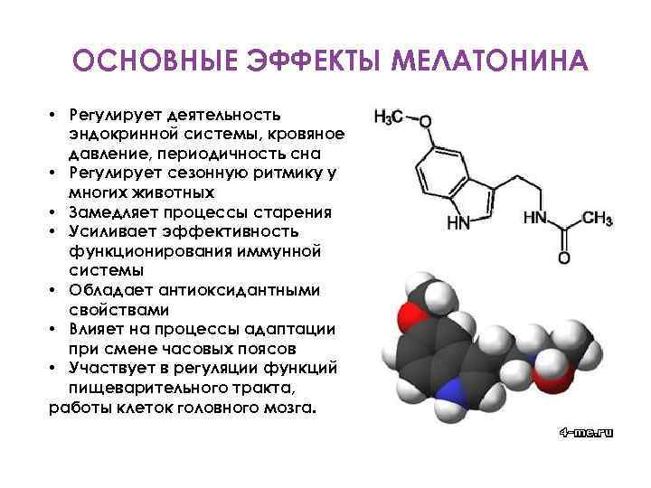 ОСНОВНЫЕ ЭФФЕКТЫ МЕЛАТОНИНА • Регулирует деятельность эндокринной системы, кровяное давление, периодичность сна • Регулирует