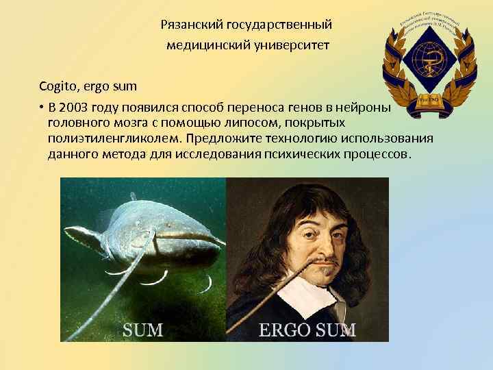 Рязанский государственный медицинский университет Cogito, ergo sum • В 2003 году появился способ переноса