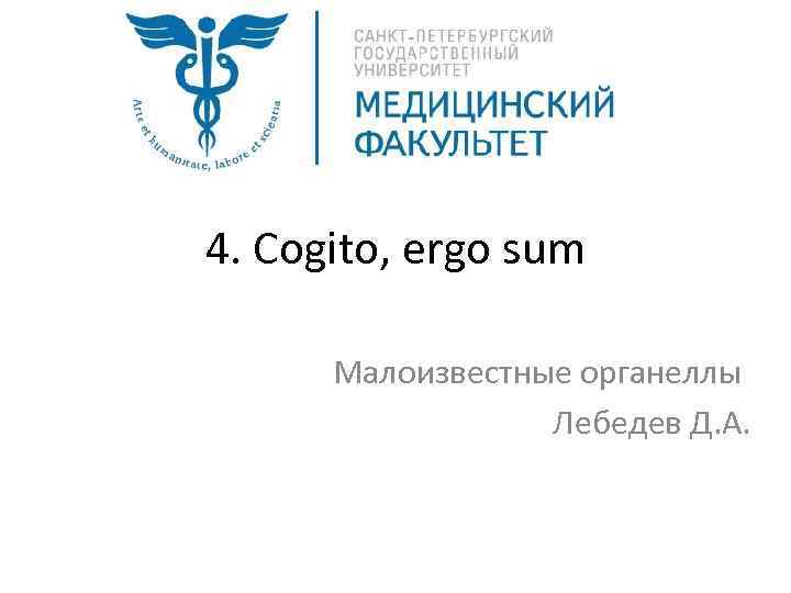 4. Cogito, ergo sum Малоизвестные органеллы Лебедев Д. А. 