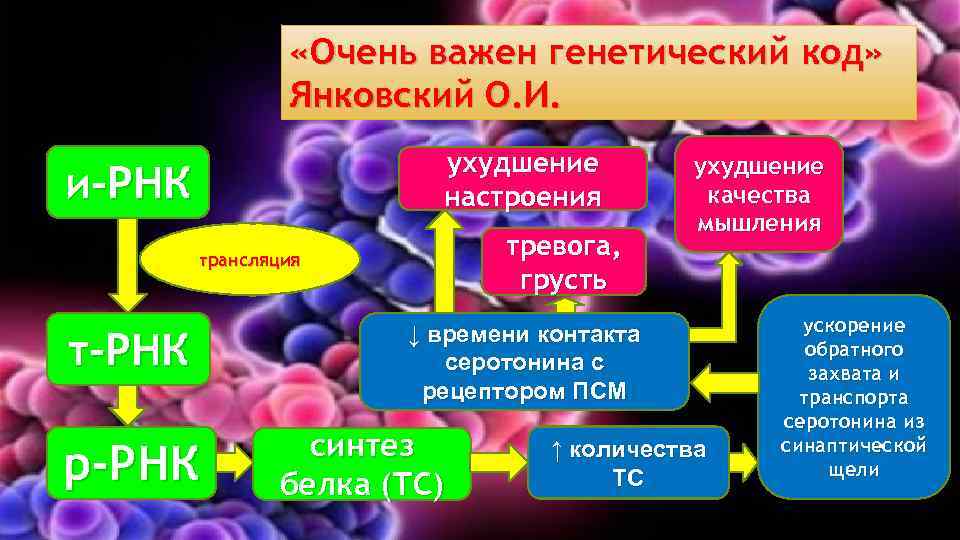  «Очень важен генетический код» Янковский О. И. ухудшение настроения и-РНК тревога, грусть трансляция
