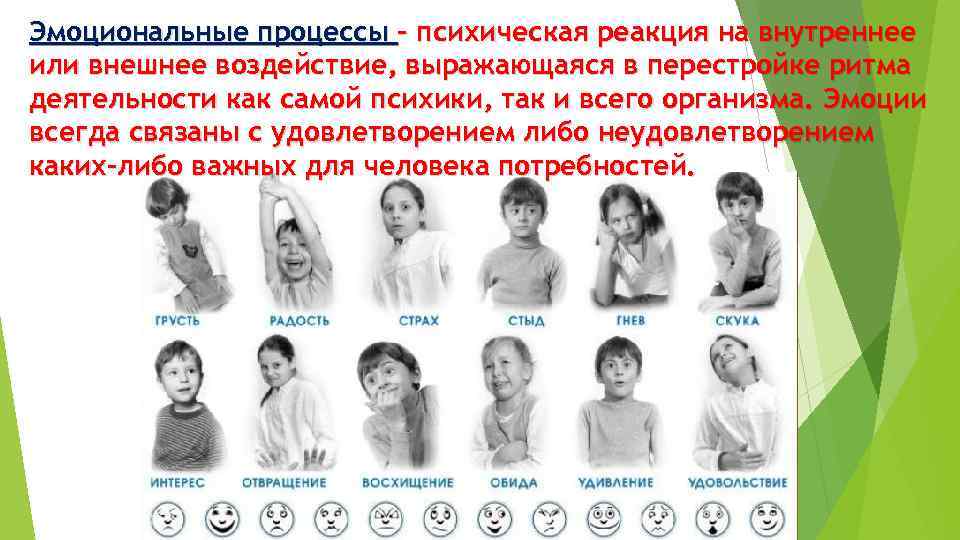 Эмоциональные процессы – психическая реакция на внутреннее или внешнее воздействие, выражающаяся в перестройке ритма