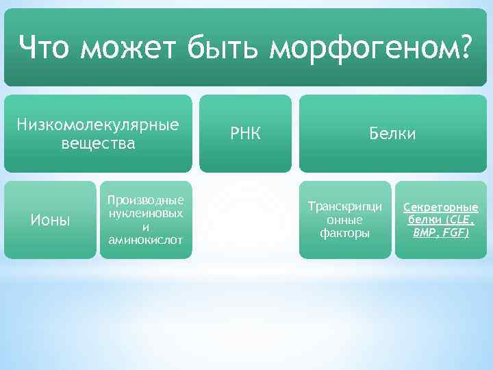 Что может быть морфогеном? Низкомолекулярные вещества Ионы Производные нуклеиновых и аминокислот РНК Белки Транскрипци