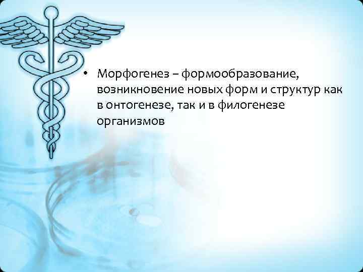 • Морфогенез – формообразование, возникновение новых форм и структур как в онтогенезе, так