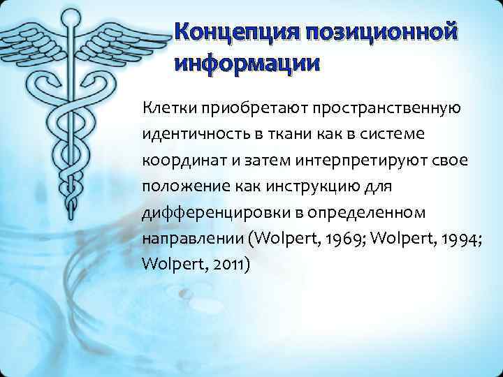 Концепция позиционной информации Клетки приобретают пространственную идентичность в ткани как в системе координат и