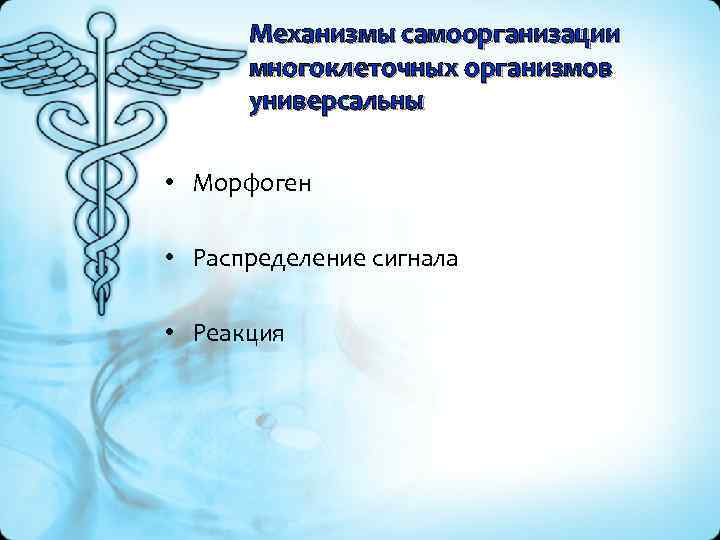 Механизмы самоорганизации многоклеточных организмов универсальны • Морфоген • Распределение сигнала • Реакция 