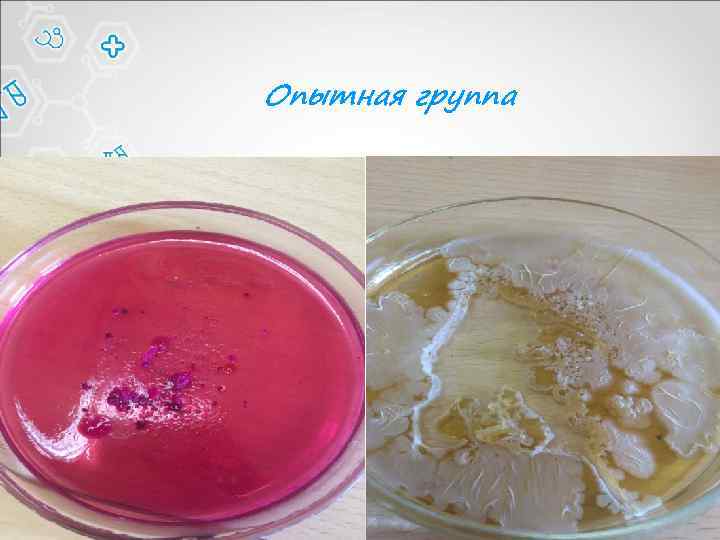 Опытная группа 